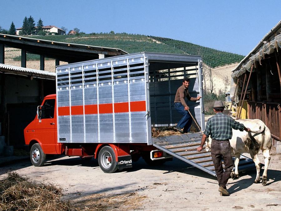  Fiat Daily Chassis Cab 1978 года  (фото 2 из 2)